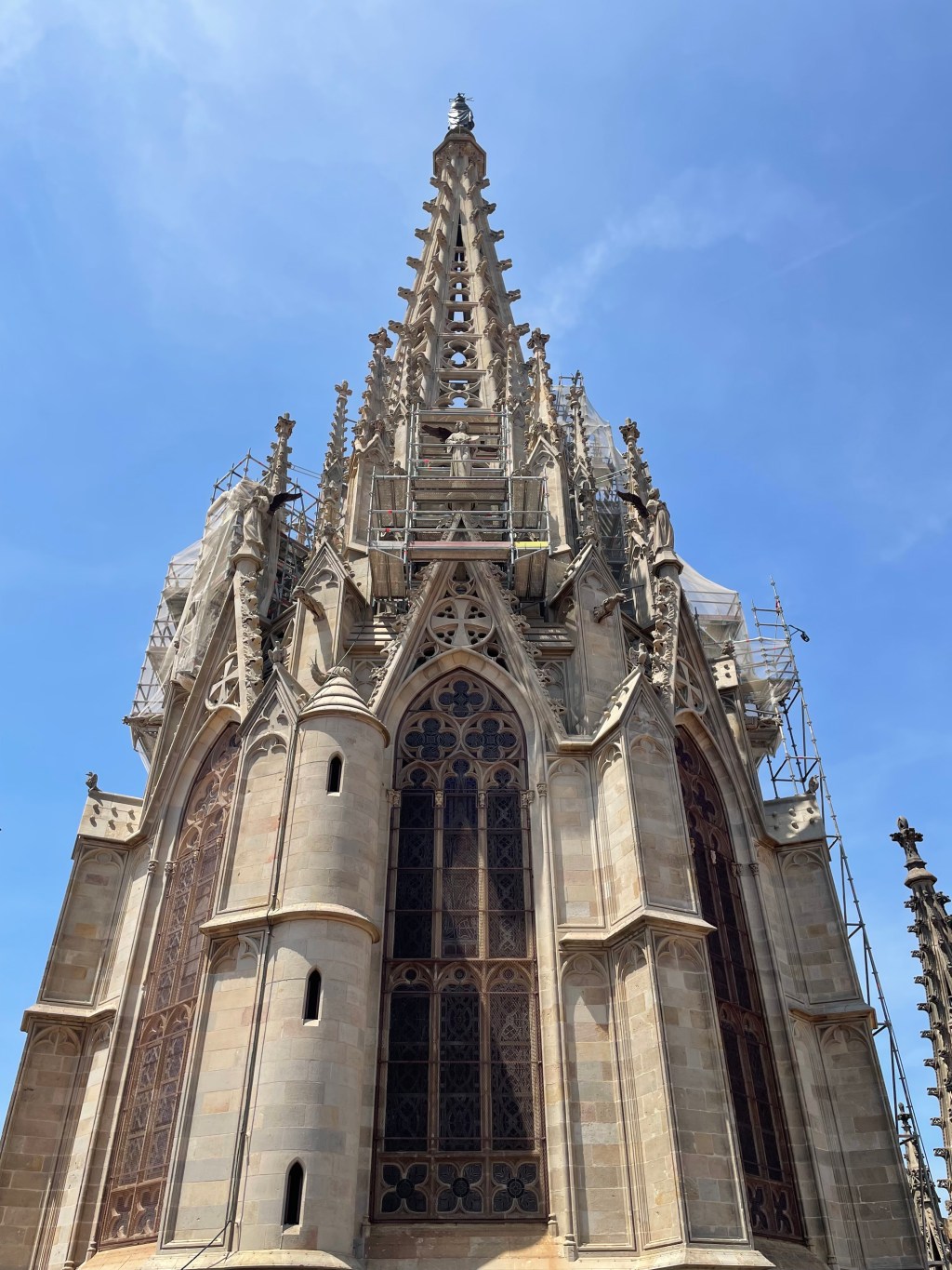 Why I am a Conservationist, Part&nbsp;II